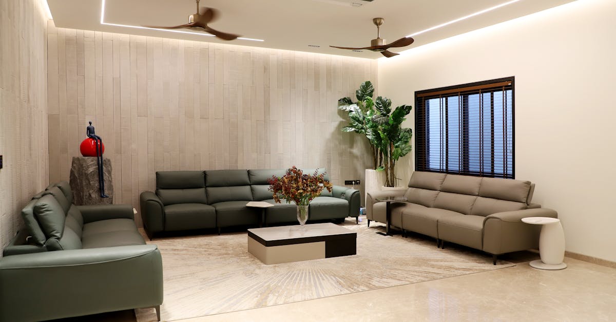 Elegant minimalist interior featuring a dried palm arrangement and modern decor elements.